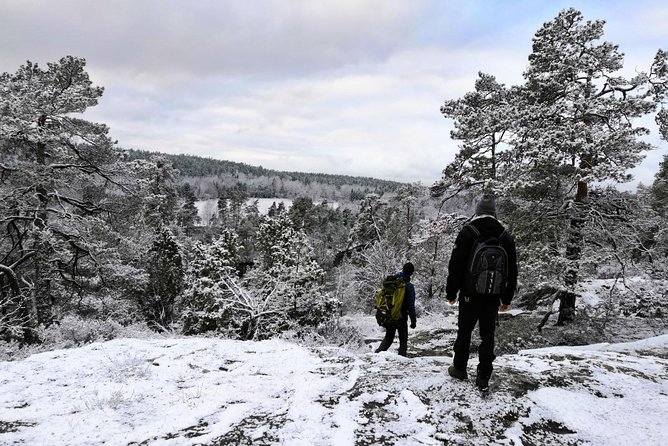 1-Day Small-Group Stockholm Nature Hiking - What makes this Stockholm hike worth considering