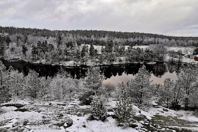 1-Day Small-Group Stockholm Nature Hiking - A five-hour walk with room to look around
