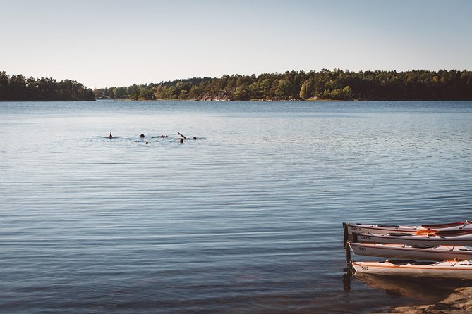 4-Day Kayak & Wildcamp the Archipelago of Sweden - Self-guided - How difficult is the kayaking?