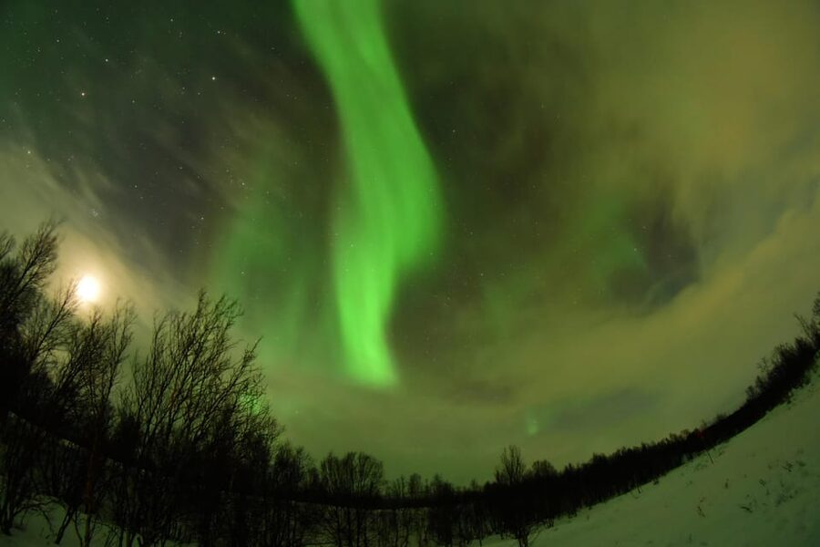 Abisko: Aurora Chasing with Snowmobiles - Key points to know before you book