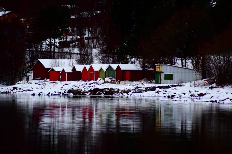 Abisko: Fjord Sightseeing and Photography Tour - A guide who adapts the day