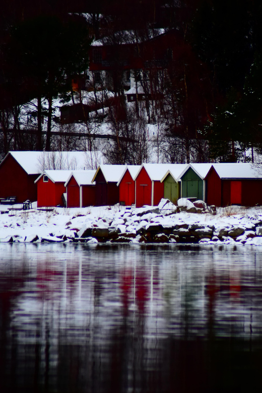 Abisko: Fjord Sightseeing and Photography Tour - Lunch in Narvik or Bjerkvik