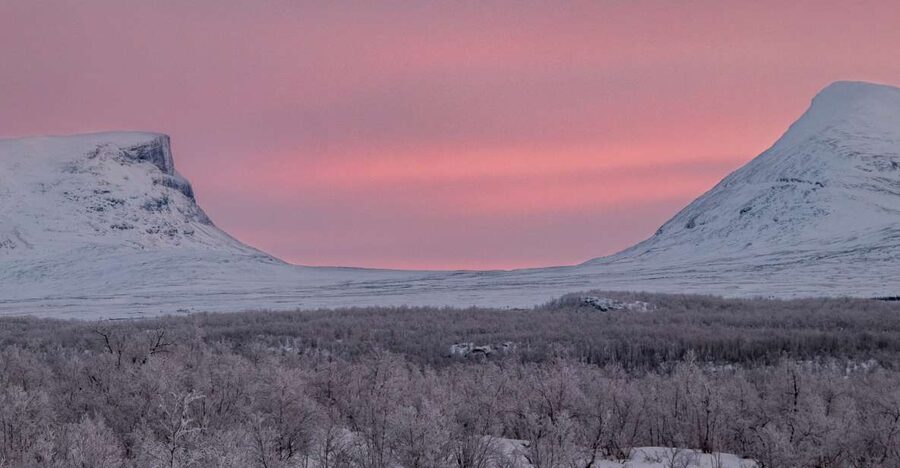 Abisko National Park: Scenic Morning Hike with Transfer - The river canyon, birch forest, and delta