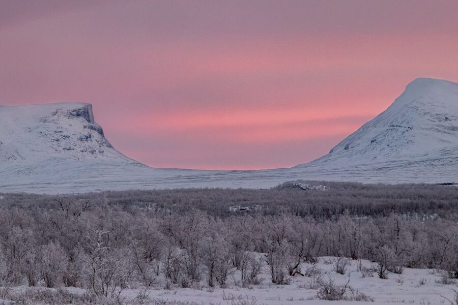 Abisko National Park: Scenic Morning Hike with Transfer - Lake Torneträsk and the big Arctic views