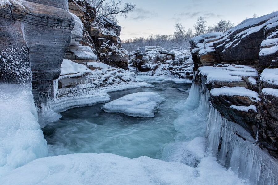 Abisko National Park: Scenic Morning Hike with Transfer - Who will enjoy this most?