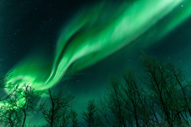 Abisko Northern Lights Tour with Photographer - Why the chase from Abisko matters