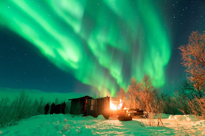 Abisko Northern Lights Tour with Photographer - Who will enjoy this tour most