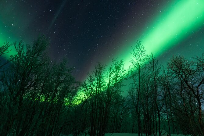Abisko Northern Lights Tour with Photographer - Staying in Abisko or driving toward Kiruna