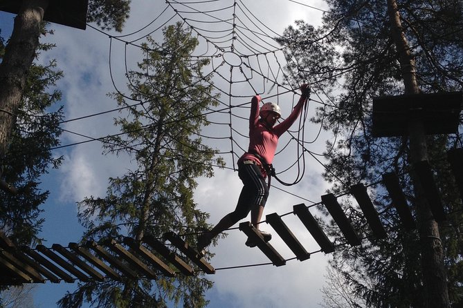Adventure parc - What the 90-minute visit feels like