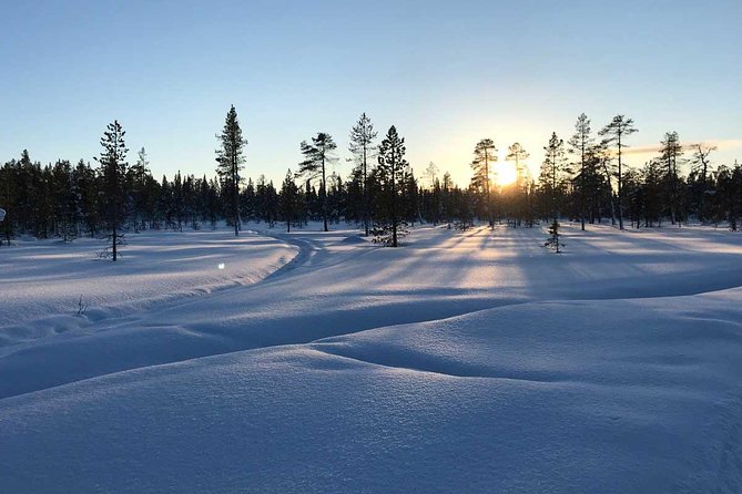 Afternoon Snowmobile Tour - From Kiruna town to the forest start