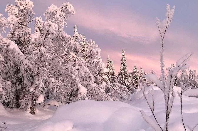 Afternoon Snowmobile Tour - The guide makes the difference