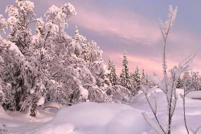 Afternoon Snowmobile Tour - Who will enjoy this Kiruna ride?
