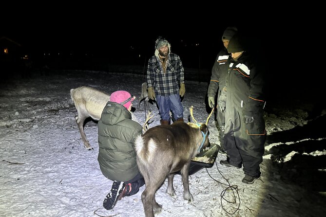 Arctic Adventure with Reindeer and Northern Lights Hunt 18:30 pm - The 6:30 pm departure from Kiruna