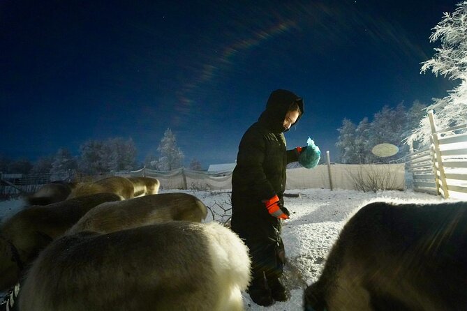 Arctic Adventure with Reindeer and Northern Lights Hunt 18:30 pm - How the Northern Lights search works