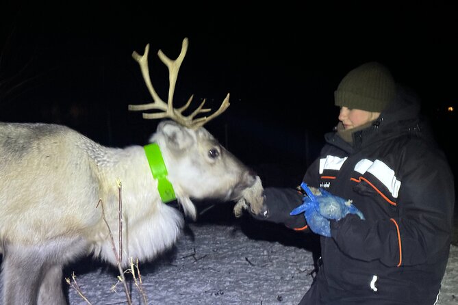 Arctic Adventure with Reindeer and Northern Lights Hunt 18:30 pm - What to wear for the Arctic evening
