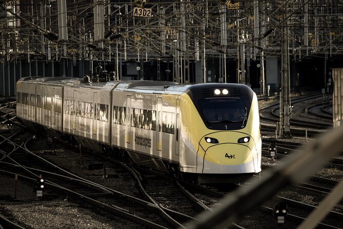 Arlanda Express Train Airport and Stockholm City Transfer - Why the 20-minute ride is worth considering