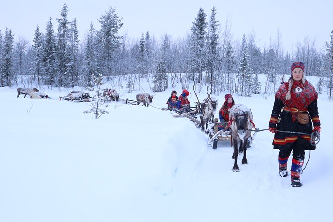 Aurora Hunting with Reindeer Caravan - Who will enjoy this Kiruna experience