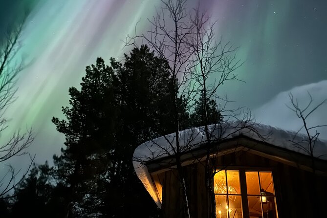 Aurora Hunting with Reindeer Caravan - My call on the reindeer caravan