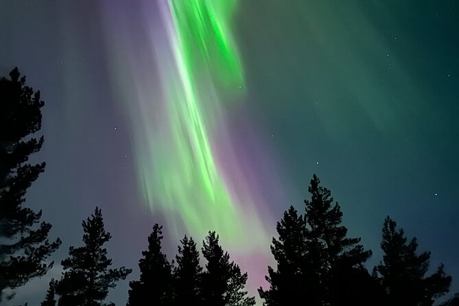 Aurora Hunting with Reindeer Caravan - Riding the reindeer caravan in the dark