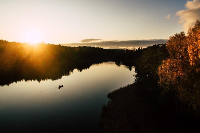 Canoe adventure in Stockholm Archipelago - Beavers, coastal birds, and the limits of wildlife watching