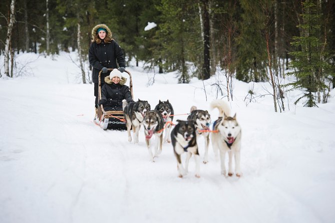 Dogsled Adventure Kiruna - A warm break at the open fire