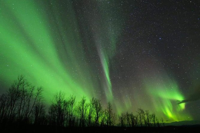 Enjoy the Aurora show on top of the mountain inc tipi dinner - Snowmobiling toward Mt. Ednavaara
