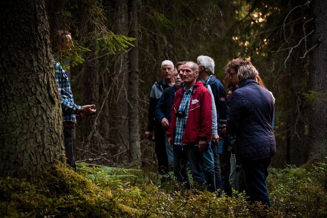 Evening Wildlife Safari Stockholm - Who should book this experience