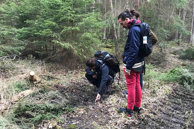 Evening Wildlife Safari with Campfire Dinner from Stockholm - Walking through the forest to the lake