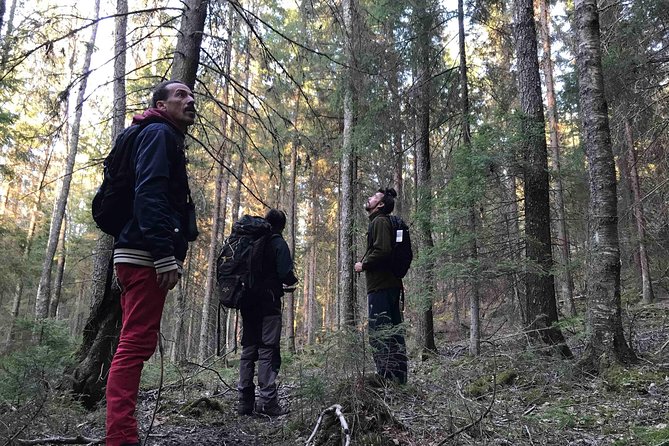 Evening Wildlife Safari with Campfire Dinner from Stockholm - The wildlife drive at dusk