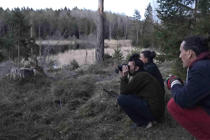 Evening Wildlife Safari with Campfire Dinner from Stockholm - What to bring and who will enjoy it