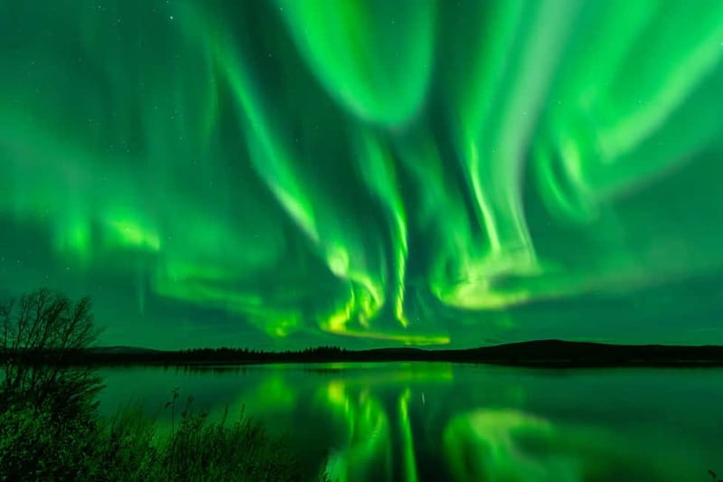 Experience the majestic Auroras Kiruna-Abisko & lodge dinner - Key points to know before booking