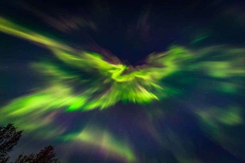 Experience the majestic Auroras Kiruna-Abisko & lodge dinner - Timing, pickup, and practical details