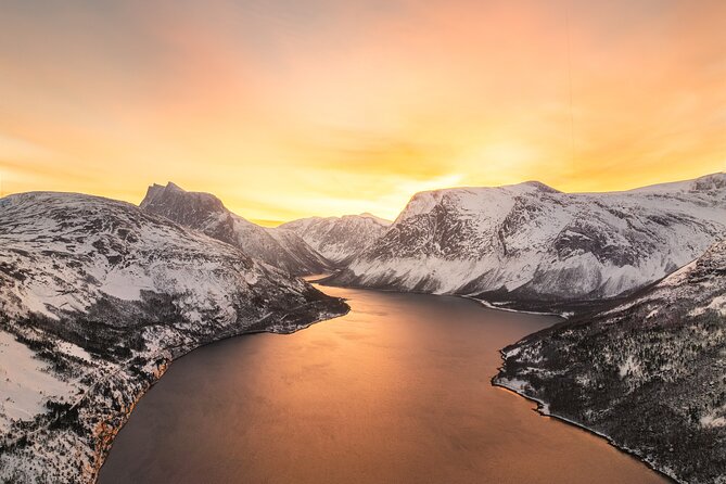 Explore the Norwegian Fjords and the Wildlife From Abisko - What you may see along the shore