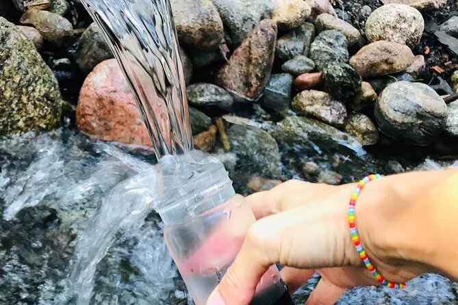 Forestbathing Slow Walking and Healing Spring Water, Stockholm - Key details before you book