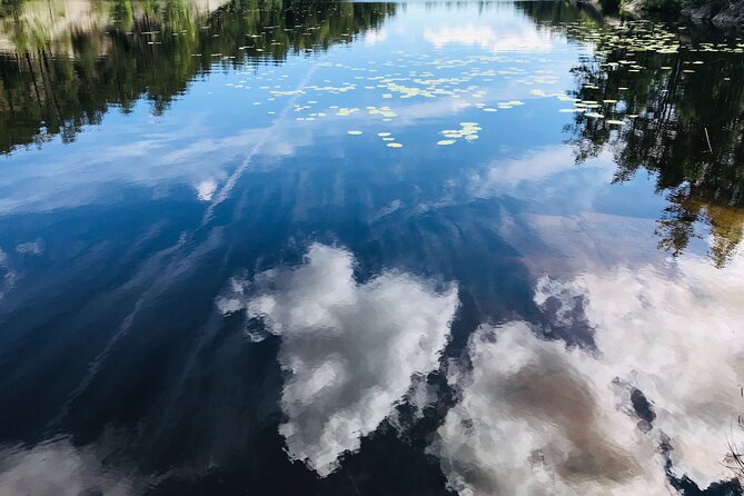 Forestbathing Slow Walking and Healing Spring Water, Stockholm - Lakeside fika with tea and fresh snacks