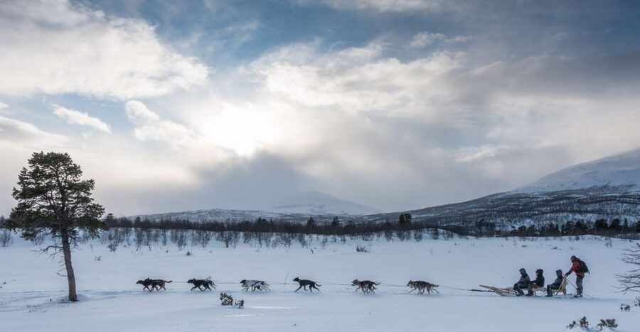 From Abisko: Dog Sledding Excursion to Kiruna with Fika - Warm clothing and winter comfort