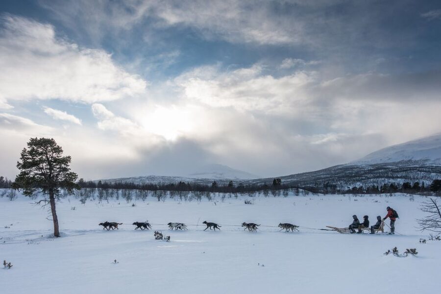 From Abisko: Dog Sledding Excursion to Kiruna with Fika - Riding 10 to 12 kilometers through Arctic country