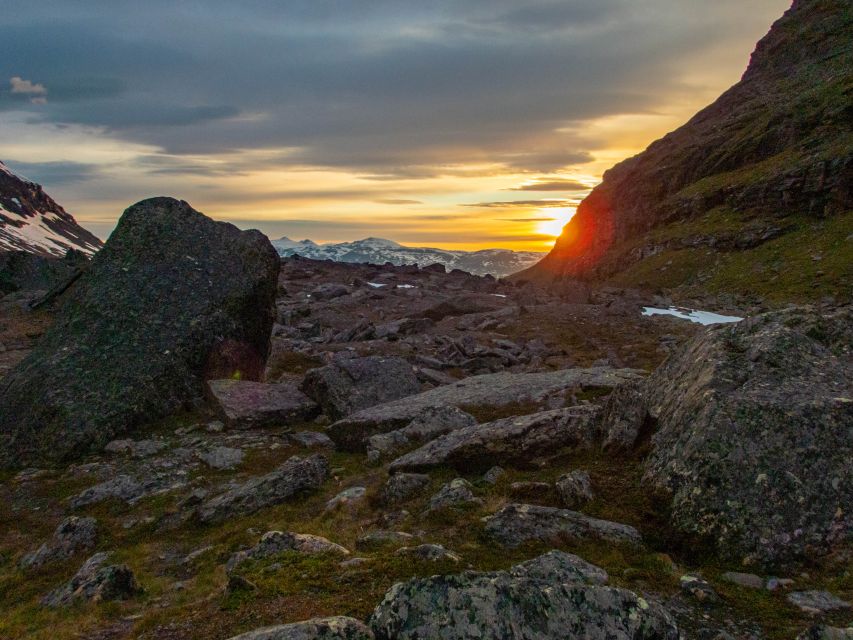 From Abisko: Kärkevagge Valley & Trollsjön Lake Guided Tour - Wildlife along the trail