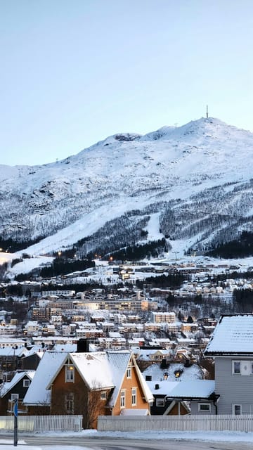 From Kiruna: Narvik City and Fjord Day Trip - From Kiruna to Abisko and Lake Torneträsk