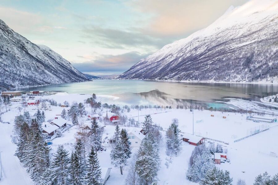 From Kiruna: Narvik City and Fjord Day Trip - Wildlife, waterfalls, and photo stops