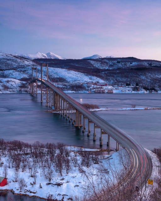 From Kiruna: Narvik City and Fjord Day Trip - Which guide style might suit you?