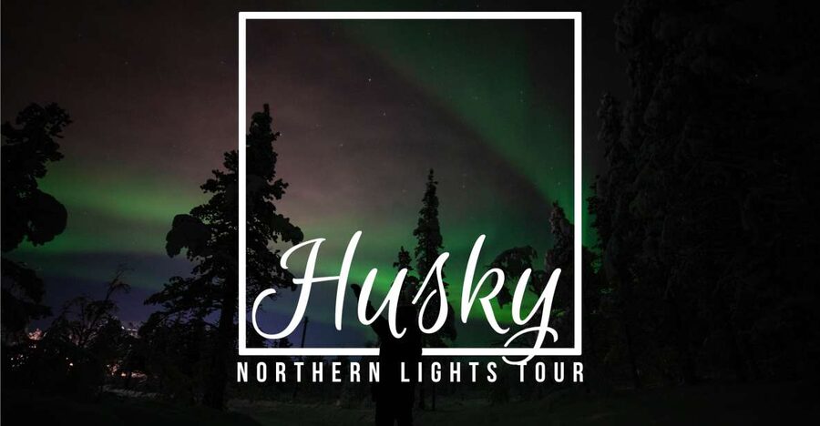 From Kiruna: Northern Lights Guided Husky Sledding Adventure - From Kiruna to Kalixforsbron in 30 minutes