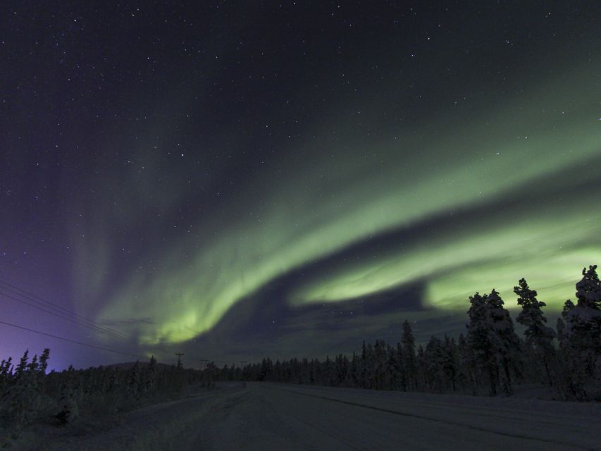 From Kiruna: Northern Lights Guided Husky Sledding Adventure - Steering through snow, trees, marshland, and frozen lakes