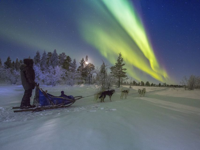 From Kiruna: Northern Lights Guided Husky Sledding Adventure - Should you book the Kiruna Husky night tour?