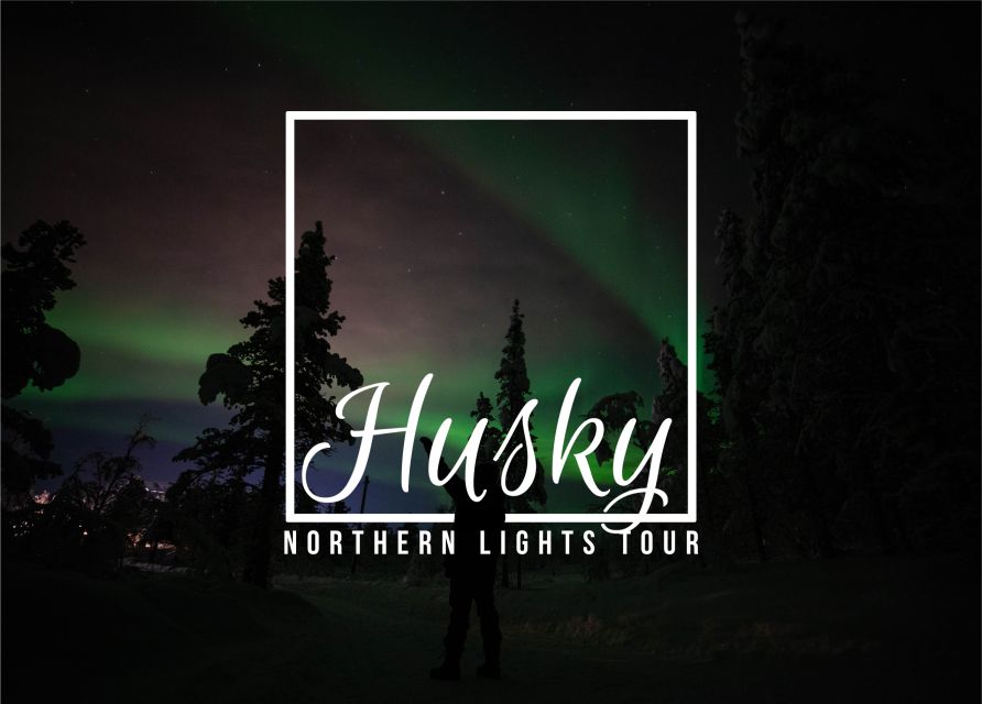 From Kiruna: Northern Lights Guided Husky Sledding Adventure - Meeting the huskies before the ride