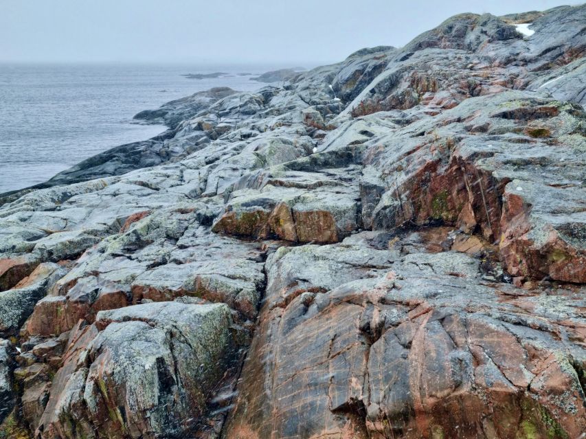 From Stockholm: Archipelago Hike to Landsort Lighthouse - Who will enjoy this day most