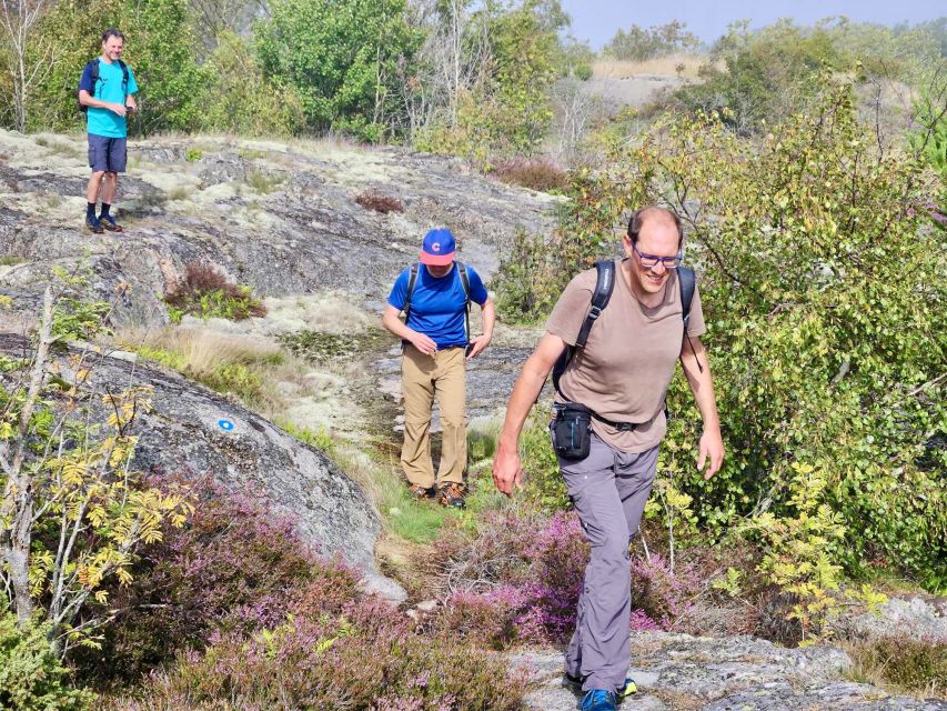 From Stockholm: Archipelago Hike to Landsort Lighthouse - The return walk and ferry home