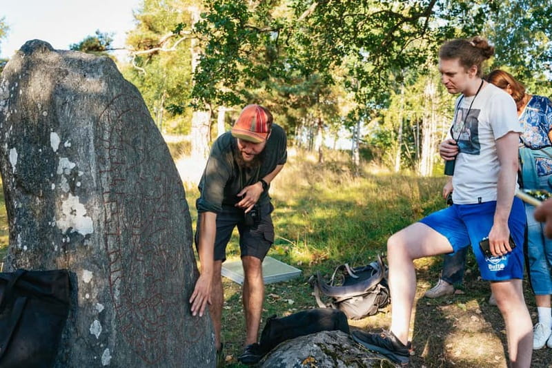 From Stockholm: Moose & Wildlife Safari with Campfire Dinner - A short hike for tracks, plants, and animal signs