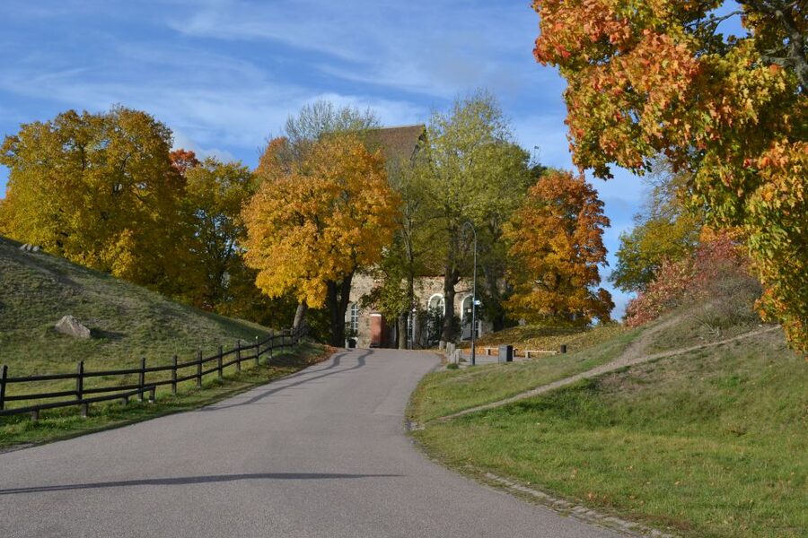 From Stockholm: Uppsala and Sigtuna Viking Sites Tour - Gamla Uppsala and the great burial mounds