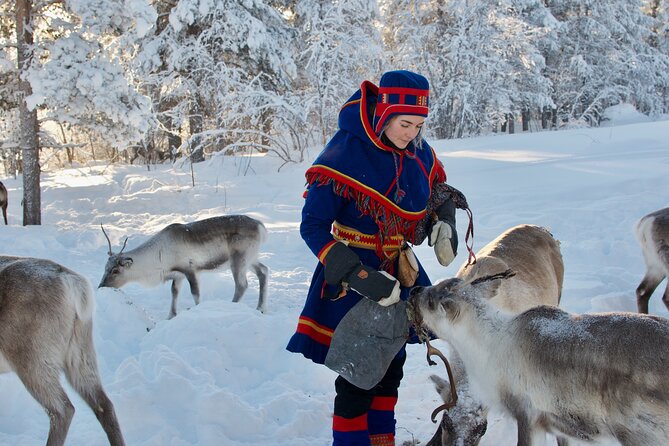 Full-Day Reindeer Tour with Pickup in Kiruna - Leaving Kiruna for a Sámi reindeer camp